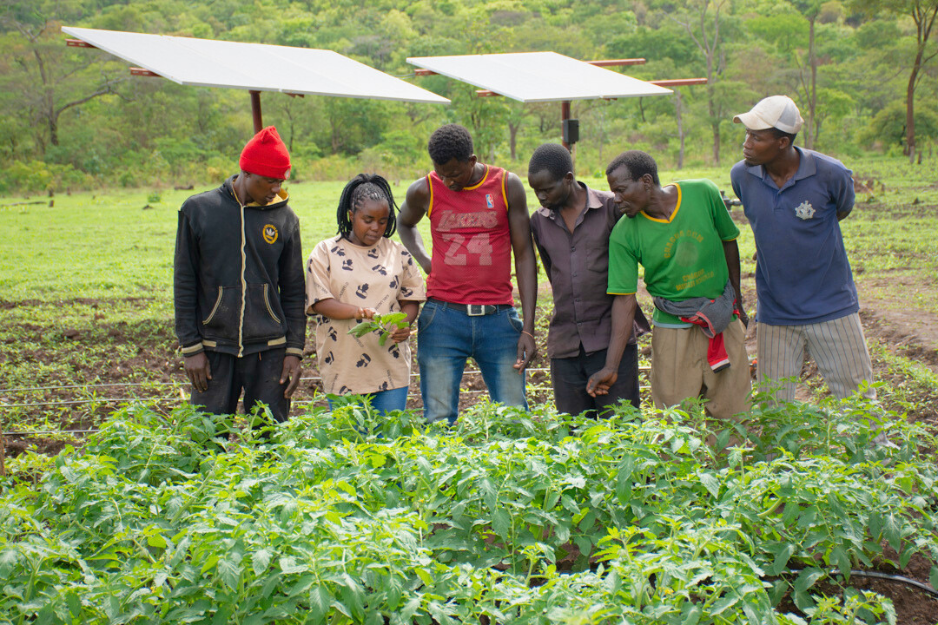 Porno filmda Jordan Blue